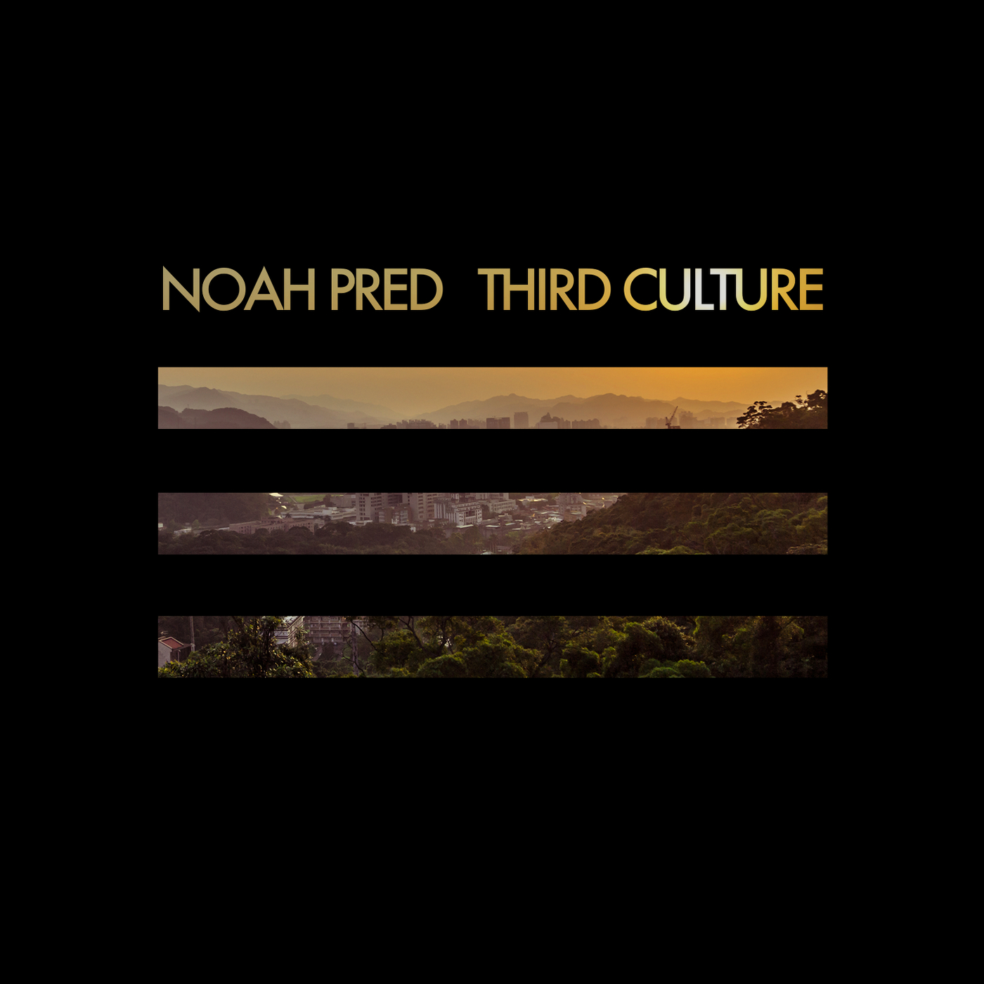 Noah Pred - Third culture